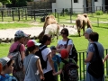 SEBA8498zoo.jpg