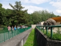 SEBA8584zoo.jpg